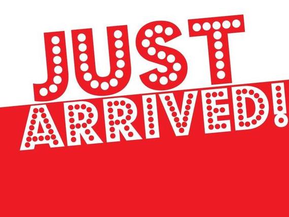 VOLKSWAGEN ATLAS 4MOTION 2024 1V2FR2CA1RC541150 image